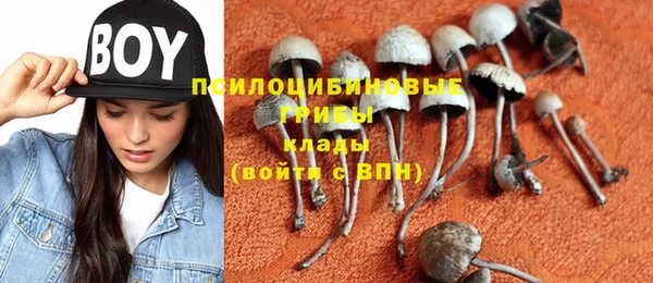 не бодяженный Алзамай