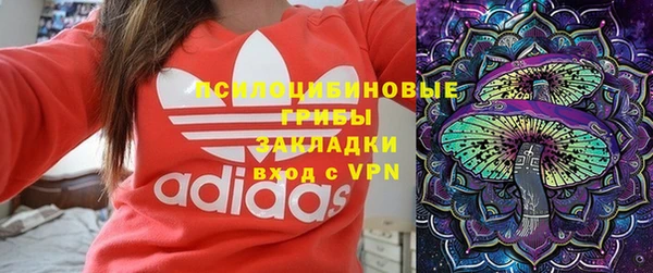 не бодяженный Алзамай