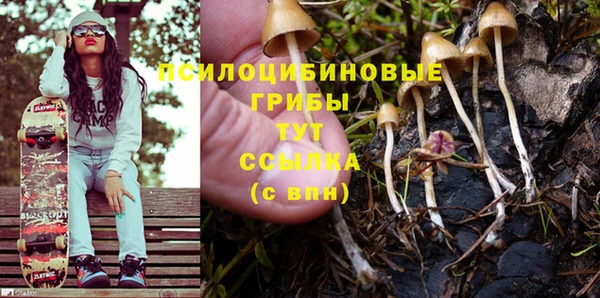 каннабис Алексеевка