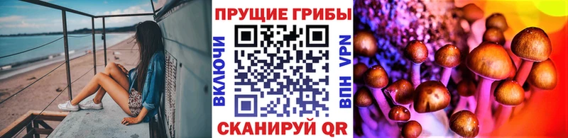 продажа наркотиков  Махачкала  Галлюциногенные грибы Psilocybine cubensis 